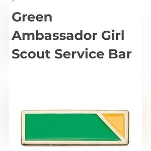 6 total The Ambassador Service to Girl Scouting bar You get All for $23